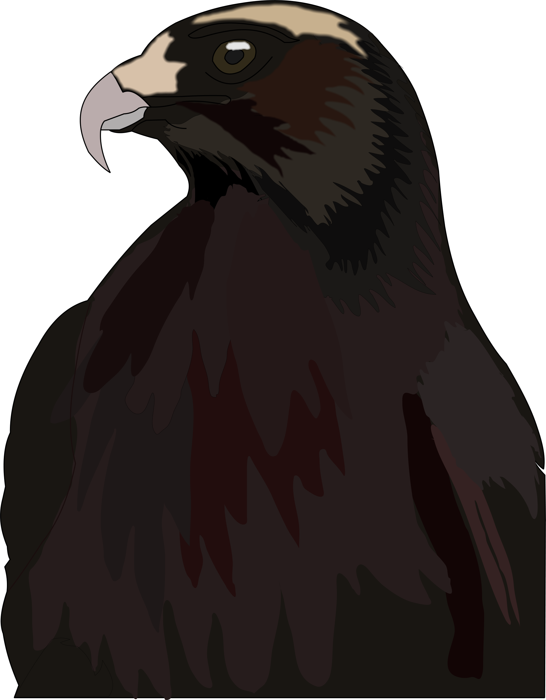 Hawk - Red-tailed Hawk (2136x2737), Png Download