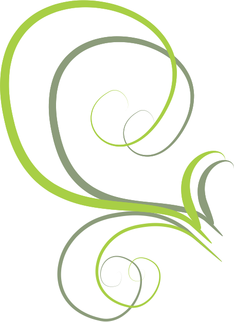 Colorful Curl Design Png (455x626), Png Download