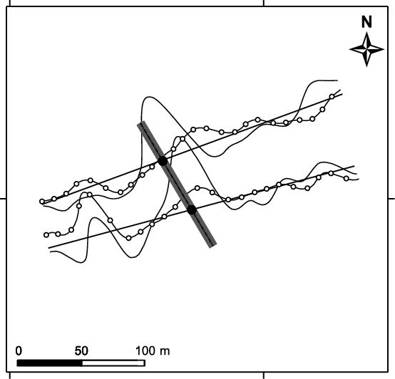 Positive Peaks Of The Real Component Of Almost Parallel - Parallel (554x532), Png Download