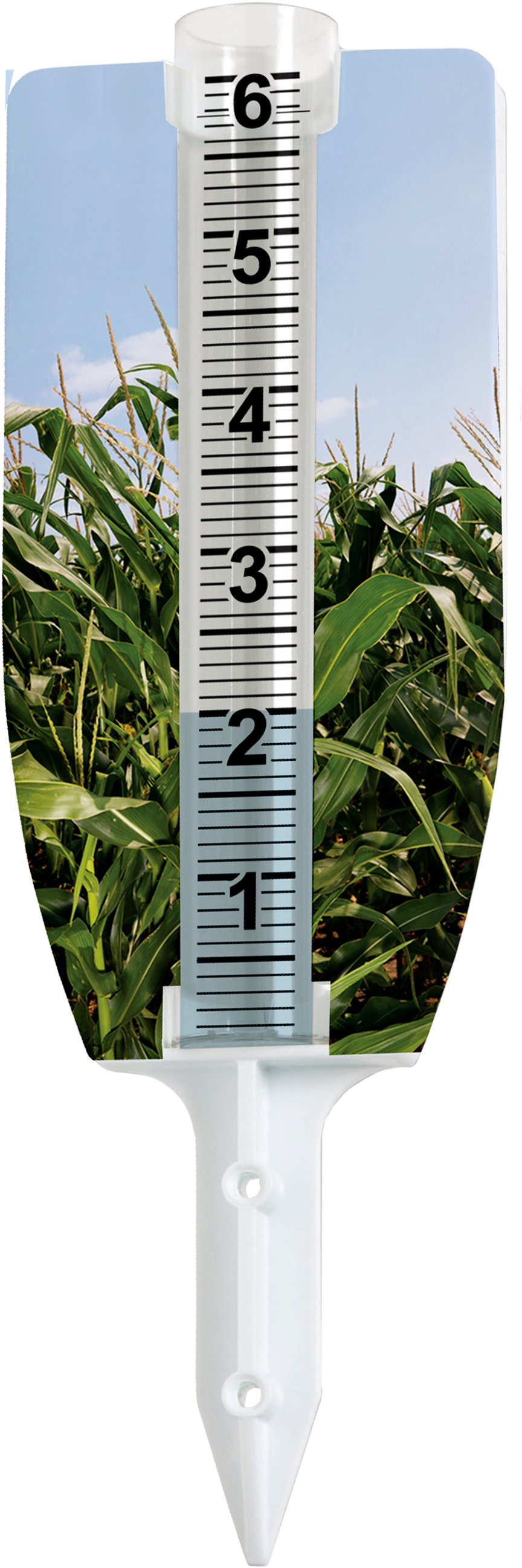 Cornfield On (1084x2607), Png Download