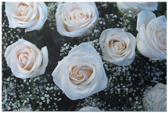 Ramo De Rosas Blancas - Garden Roses (400x400), Png Download