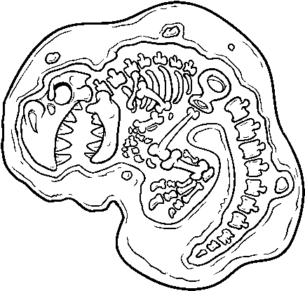 Dibujo De Fósil De Dinosaurio Para Colorear - Frozen Fossils Coloring Pages (600x470), Png Download