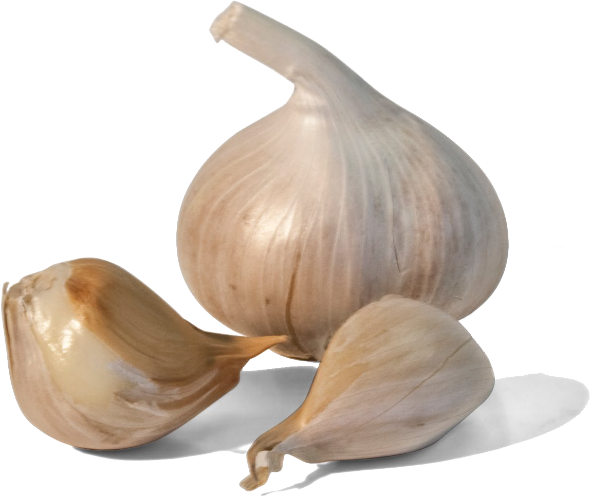 Dientes De Ajo Dibujo (1156x964), Png Download
