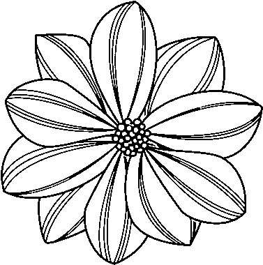 Dibujo De Flor De Margarita Para Colorear - Flor Frailejon Para Colorear (600x470), Png Download