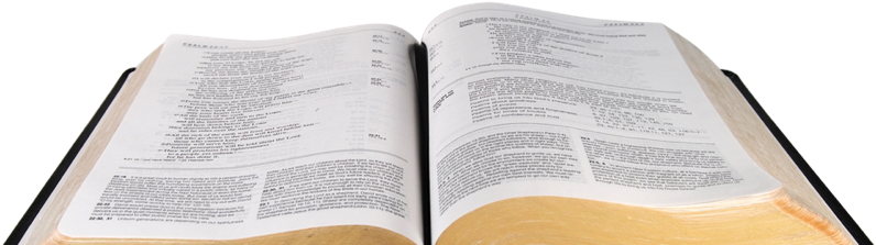 Catalog/slider/bible 3 - Kjv Bible (800x246), Png Download