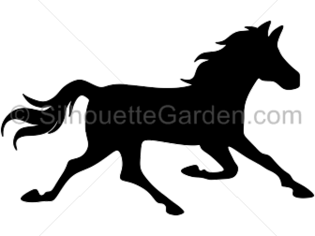 Horse (640x480), Png Download
