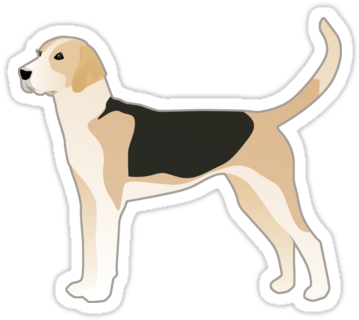 English Foxhound Basic Breed Silhouette By Tripoddogdesign - Englischer Foxhound-hundezucht-illustration Haustiermarke (375x360), Png Download