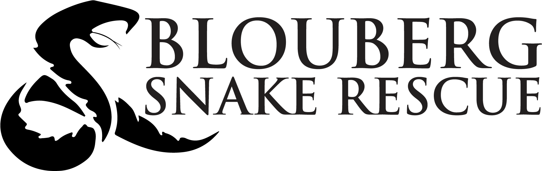 Logo (2000x700), Png Download