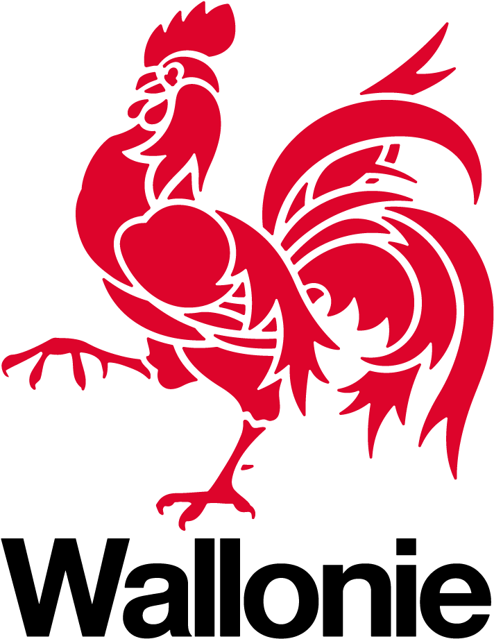 Logo De La Wallonie - Wallonie (1417x1831), Png Download