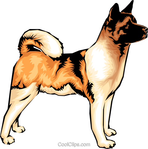 Akita Dog Royalty Free Vector Clip Art Illustration - Symptom Of Dog Bite (479x480), Png Download