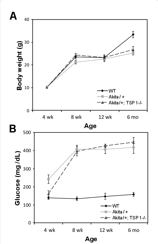 Blood Glucose And Body Weight In Wild-type And Akita/ - Diagram (507x783), Png Download