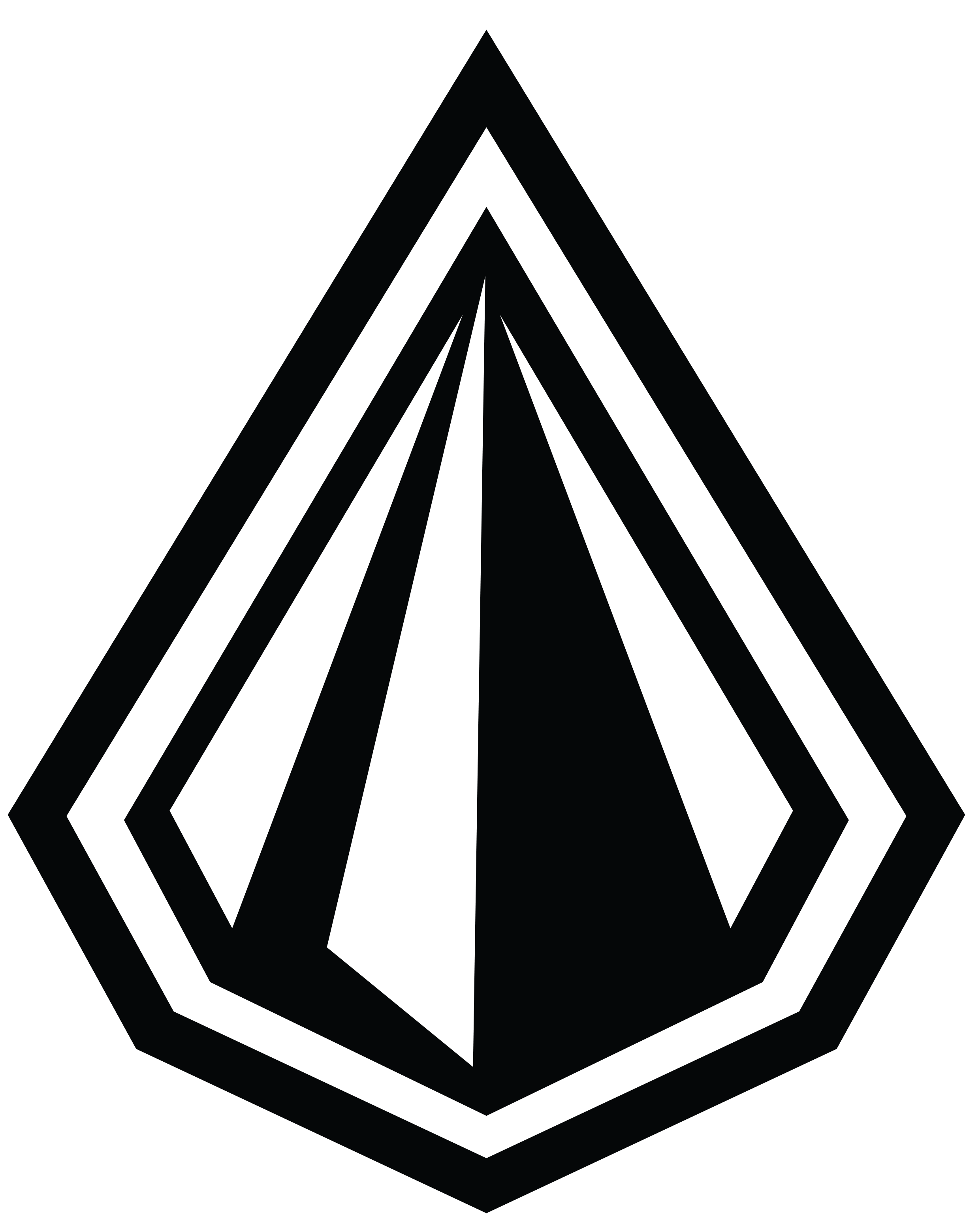 Logo - Tare Ca Piatra 2016 (2480x3508), Png Download