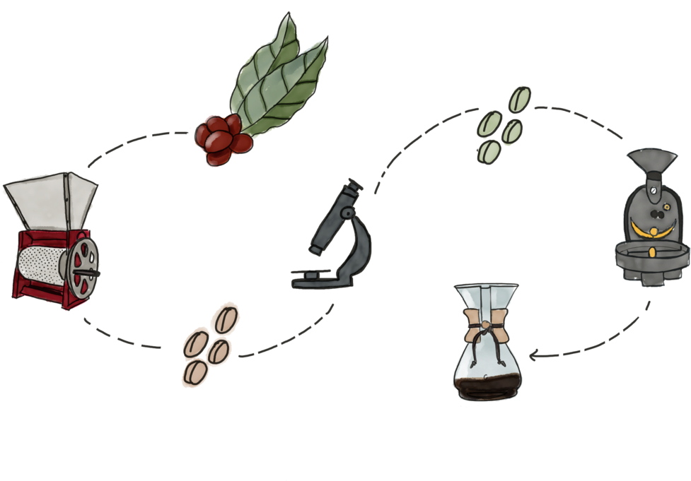 Business Card - 9 - Fermentation (1000x750), Png Download