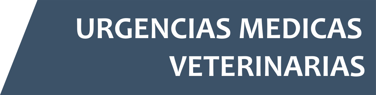 Letra Cuv L - Advocate (1240x314), Png Download