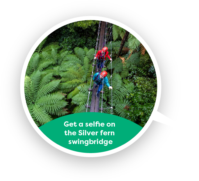 Get A Selfie On The Silver Fern Swingbridge - Circle (1858x784), Png Download