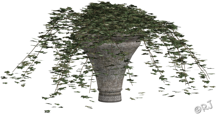 Potted Plants Set I - Bigtree (889x495), Png Download