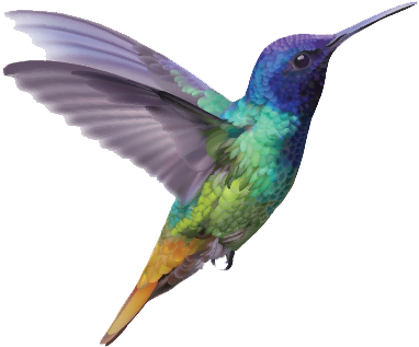 Colibri Barr - 8 Dagar Att Hoppa I Ett Tropiskt Vattenfall By Fagerlund (400x332), Png Download