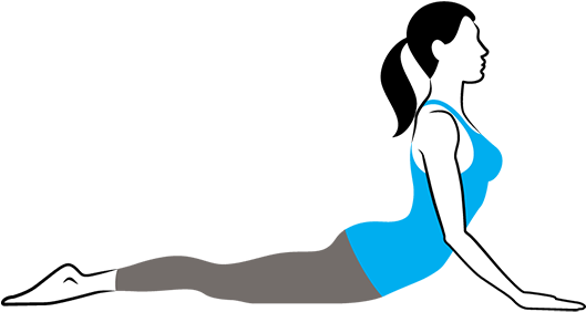 Cobra Pose Bhujangasana - Drawing Of Bhujangasana (600x335), Png Download