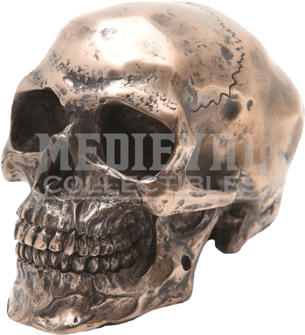 Small Bronze Finishing Skull Head Statue Cold Cast (687x687), Png Download