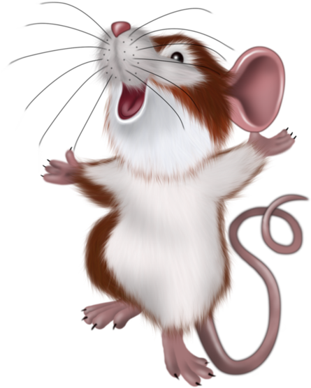 Mouse Illustration, Illustration Mignonne, Mouse Pictures, - Good Morning Its Friday (600x600), Png Download
