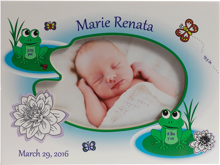 Lily Pad Friends - Baby (800x800), Png Download