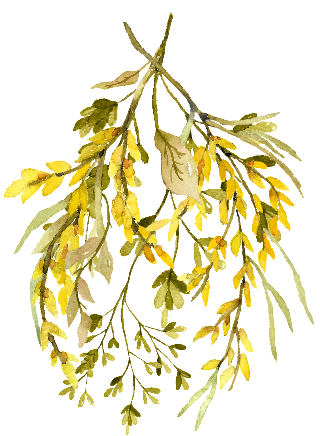 Watercolor Leaf Png - Rustikaler Wildblumewatercolor, Der Save The Date Karte (1024x1415), Png Download