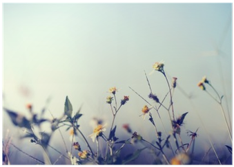 Vintage Photo Of Nature Background With Wild Flowers - Flower (400x400), Png Download