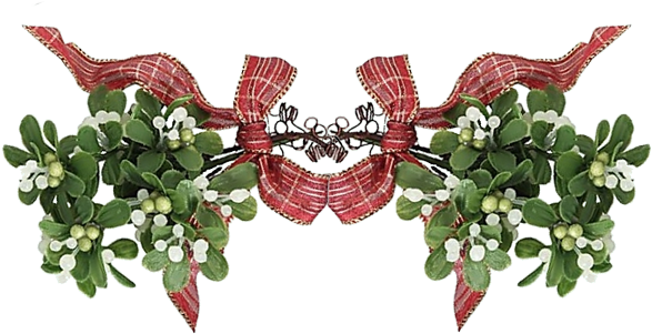 The Inside Of Mistletoe Berries Is Dangerous For The - Gui L An Neuf (600x316), Png Download