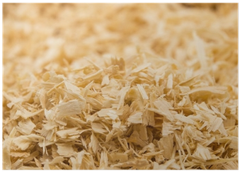 Wood (400x400), Png Download