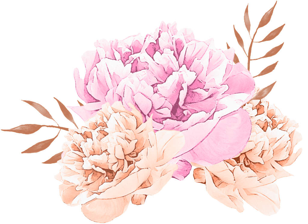 Fantasy Flower Cartoon Transparent - Chrysanths (1024x744), Png Download