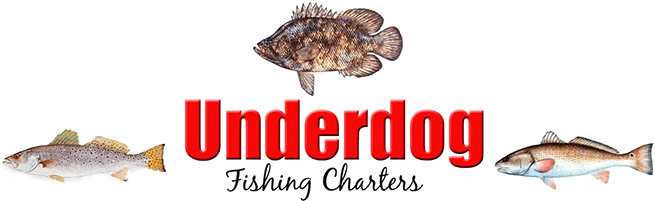 Dauphin Island And Mobile Al Fishing - Triple Tail Fish (655x201), Png Download