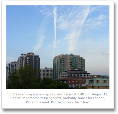 One - Metropolitan Area (420x405), Png Download