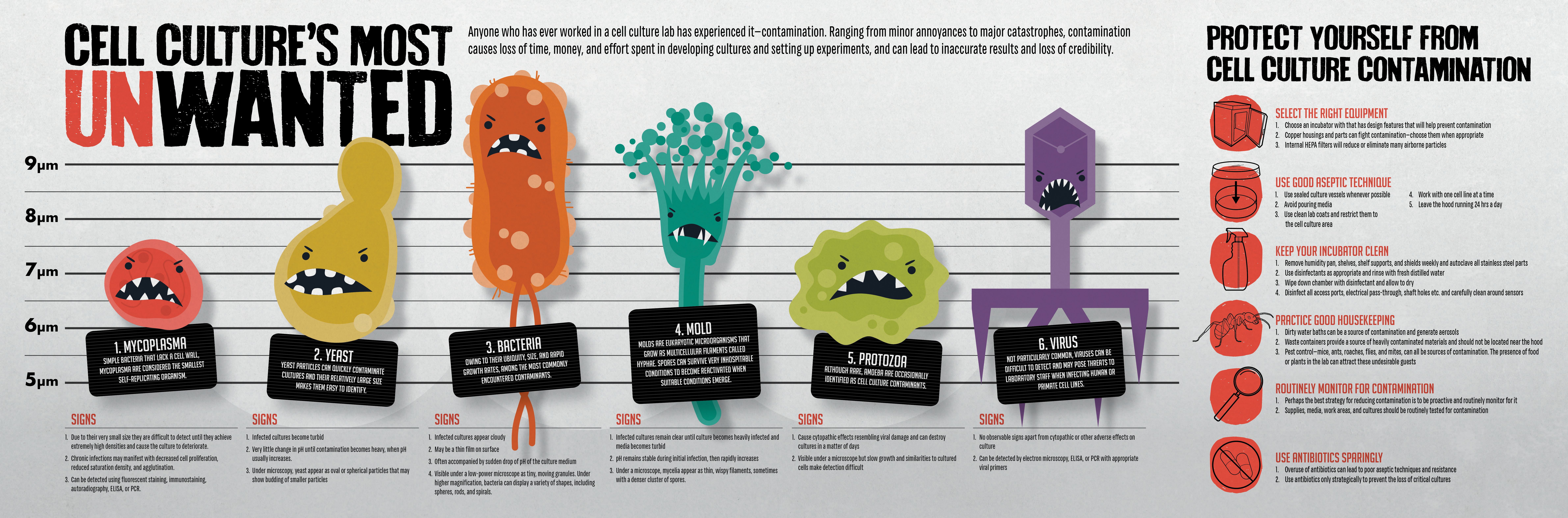 Like This Article Click Here To Subscribe To Free Newsletters (9525x3150), Png Download