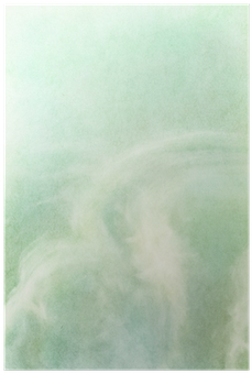 Grass (400x400), Png Download