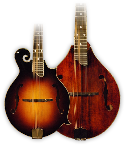 Eastman Mandolins - Mandolin (496x573), Png Download