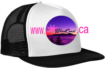 Neon Flat Bill Snapback Trucker Cap - Baseball Cap (433x433), Png Download