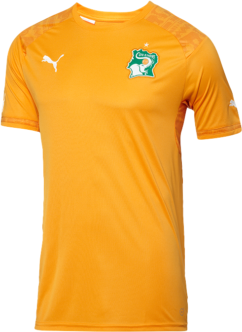 Ivory Coast World Cup 2014 Jersey - Yellow Dri Fit Shirt (590x686), Png Download