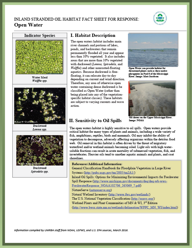 Download Pdf - Folio Ten From Burchard Of Sion's De Locis Ac Mirabilibus (650x841), Png Download