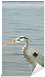 A Colorful Great Blue Heron Hunting The Shallow Water - Wall (400x400), Png Download