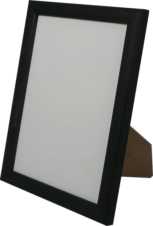 Picture Frame (500x739), Png Download