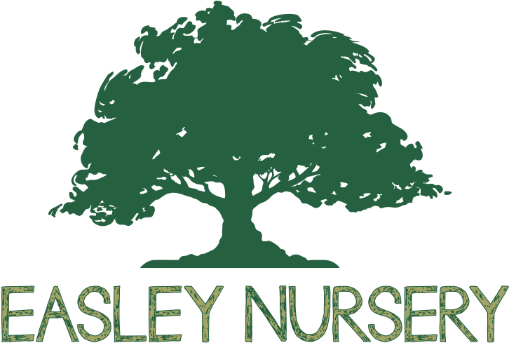 Growing Plants & Flowers For Landscaping & Gardening - Tys Lawn Care (744x535), Png Download