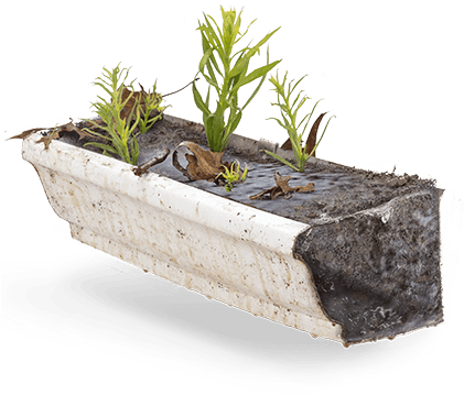 Traps Debris & Blocks The Flow Of Water - Houseplant (420x381), Png Download