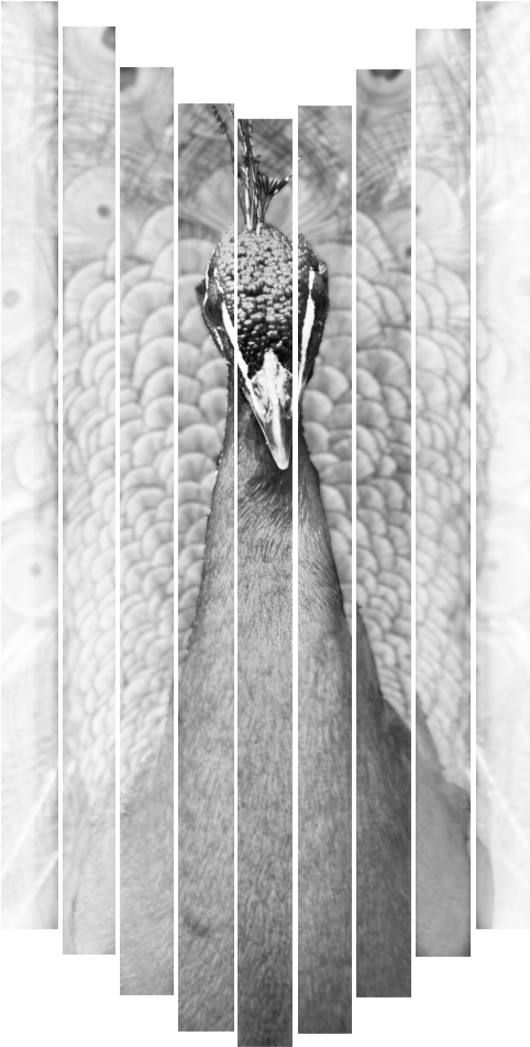 Monochrome (518x970), Png Download