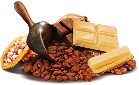 Chocolate (487x301), Png Download