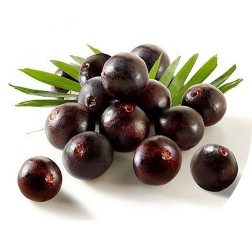 Acai Berry - Indus Viva Health Science Pvt Ltd (1000x500), Png Download