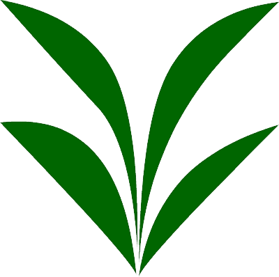 50cm (400x398), Png Download