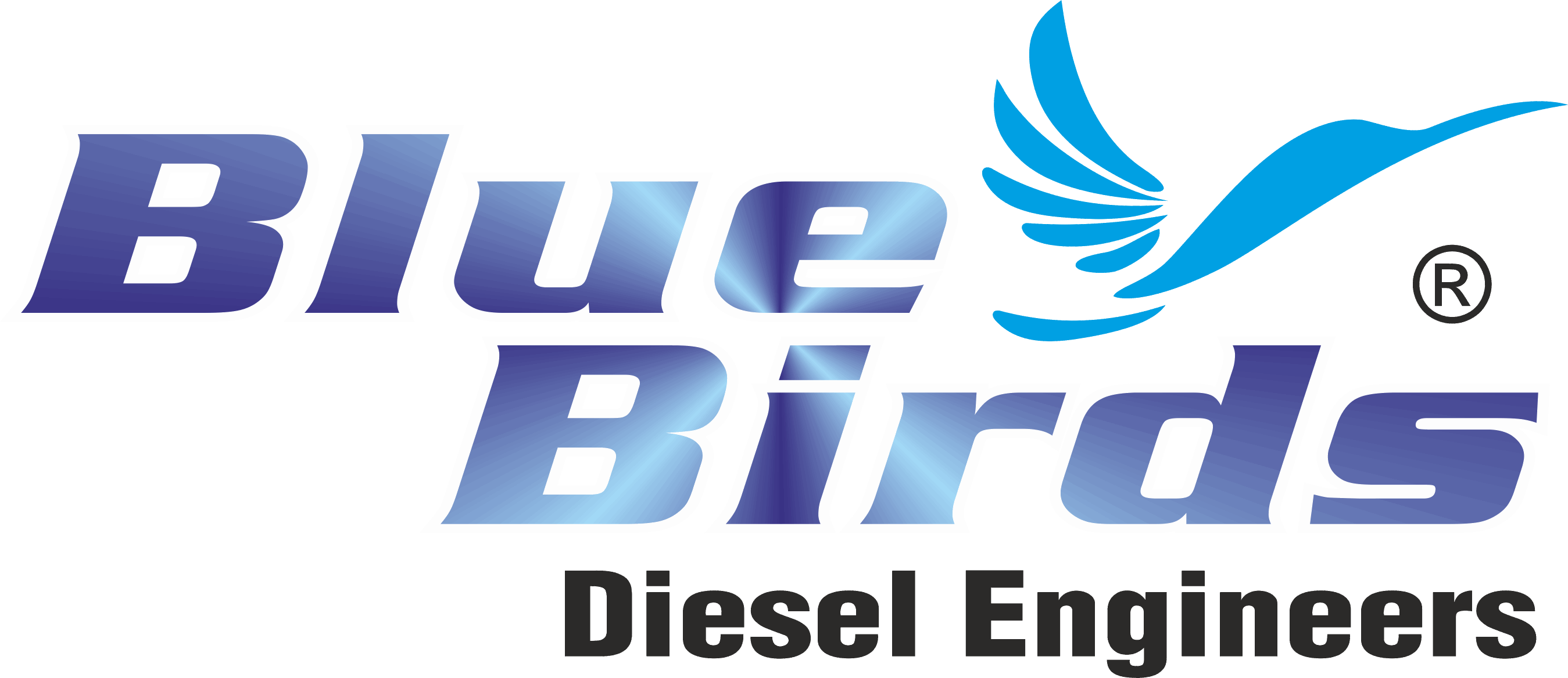 Home - Blue Birds Diesel Engineers (2698x1168), Png Download