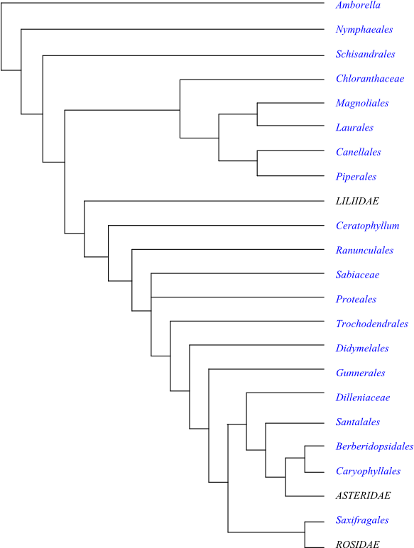 Number (600x778), Png Download