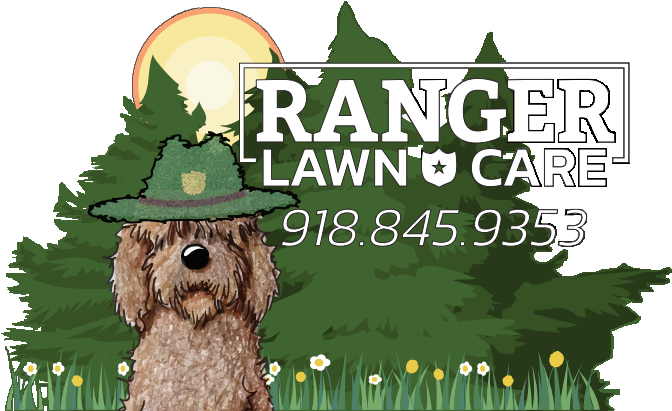 Santa Chocolate Doodle Ornament (oval) (683x432), Png Download