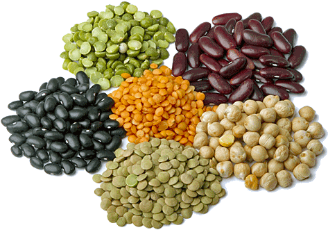 Aprender Del Entorno - All Beans (500x351), Png Download
